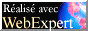 WebExpert